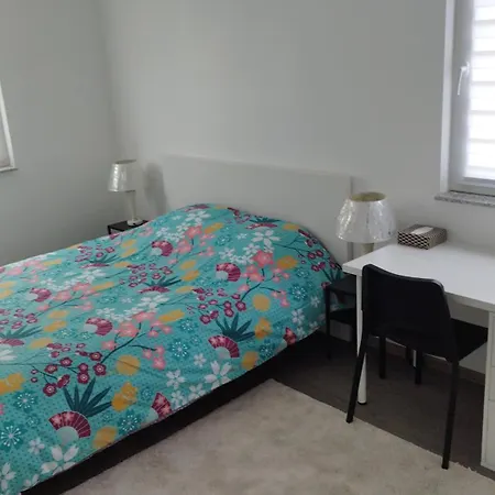 Logement Neuf